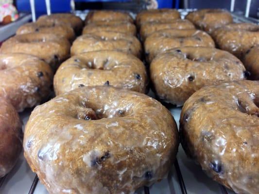 Blueberry Donuts