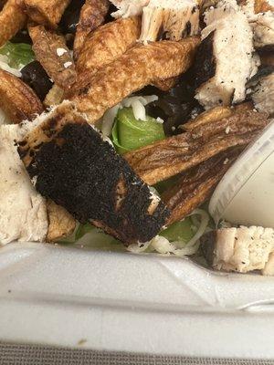 Burnt chicken salad with watered lettuce and dry French fries