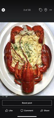 Lobster fettuccine Alfredo