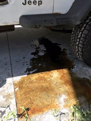 This oil is after spending $1,850.00 for repairs at Hilltop Auto in Dunnellon,Fl.  I drove it home and the next morning thus mess appeared