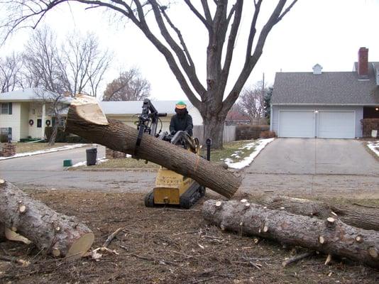 Haulin off the logs.