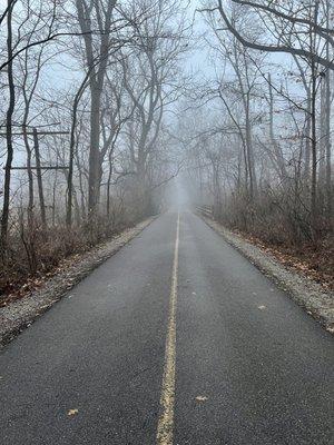 Foggy morning on the Monon Trail