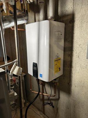 Tankless water heater