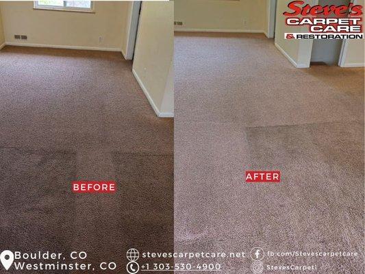 Before and after photos of refreshed carpets by Steve's!