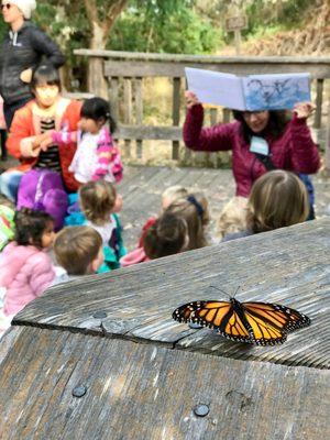 Los Gatos-Saratoga Observation Nursery School