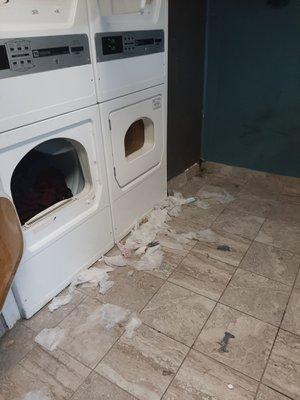 Filth and litter in the laundry rooms