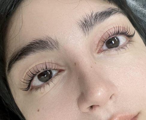 Natural lash lift