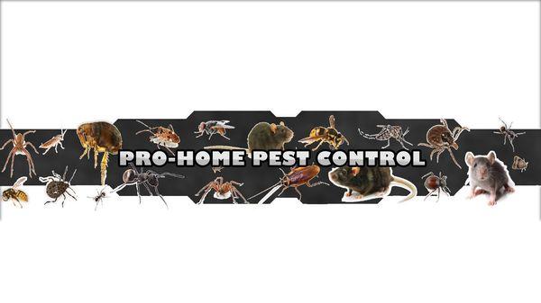 Pro Home Pest Control