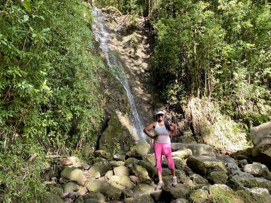 Aihualama Falls in Lyon Arboretum