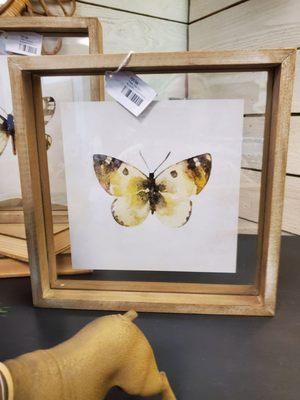 Beautiful framed butterfly