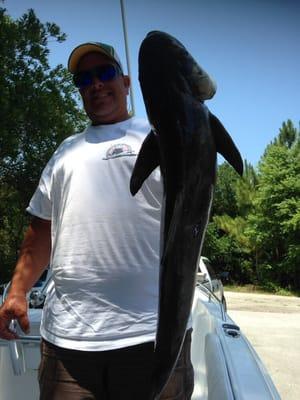 Nice cobia caught off Wrightsville Beach & Carolina Beach