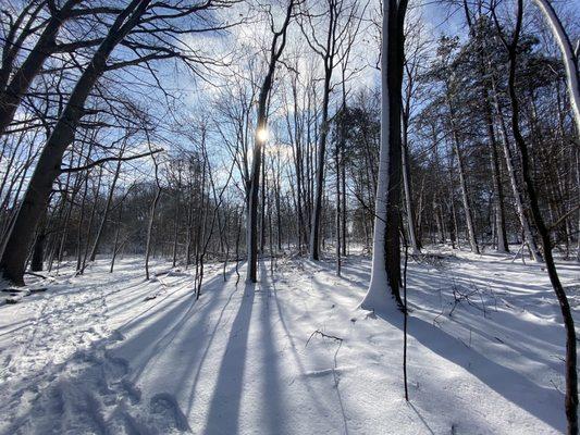 Snowy trails in sunshine