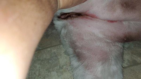 Several cuts on area around her vaginal area