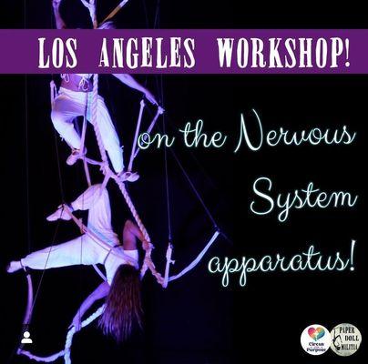 11/16/24 - Upcoming Workshop w/ Paperdoll Militia on a brand new apparatus!