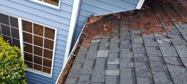 Roof and gutter cleaning services in Vancouver WA and surrounding areas