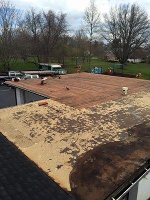 Roofing expert