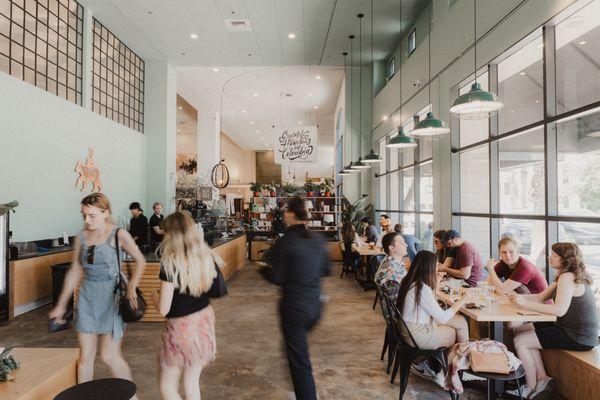 The Boy & The Bear - CASAVIEJA STORE, Sherman Oaks CA