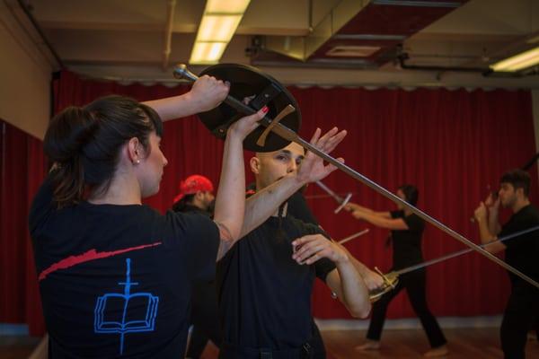 Longsword instruction