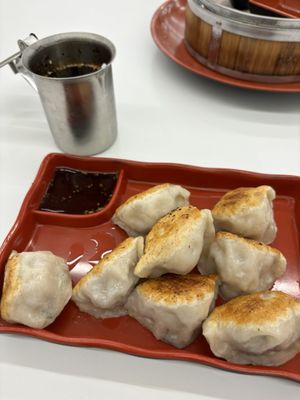 Pork and shrimp pan fried dumplings