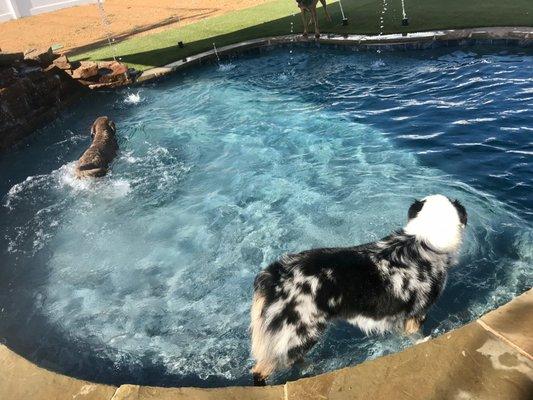 Staying cool in the pool!