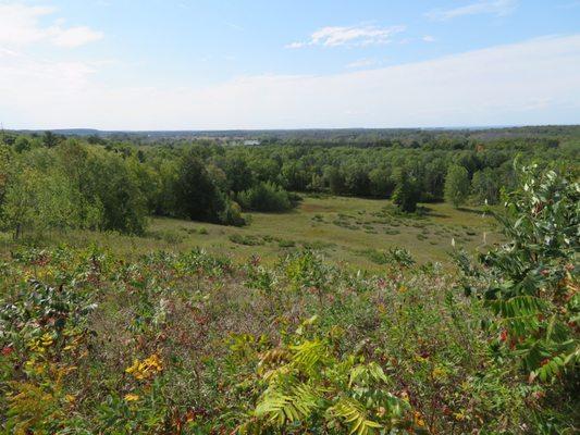 View from overlook