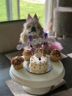 Penelope's custom cake with peanut butter cupcakes!