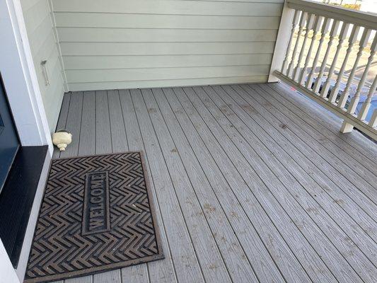 Mud on patio that was scrubbed clean the day before. The worker, Anthony, made no effort to clean up after himself.