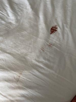 Blood on our sheets