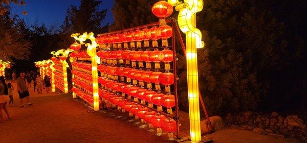 Dragon light festival