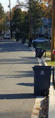 The trash cans on the same side of the street as mines....None of theirs are broken or thrown on the ground...SMH!!!!!