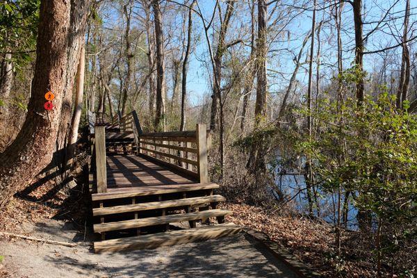 Stepping up on the boardwalk path