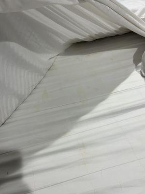 stains on bed