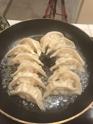 Cooking my pot stickers during a virtual cooking show. O'Tasty Dumplings is always my favorite.