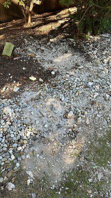 debris on front lawn