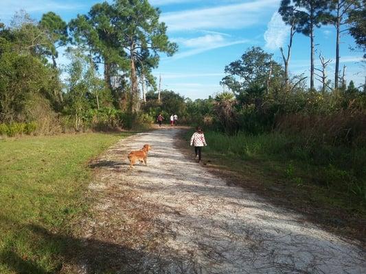 Follow the white shell road?