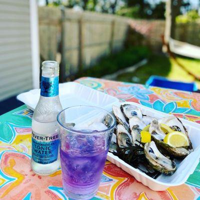 Wellfleet Oysters!