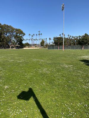 Toby Chavez Field