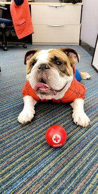 Bubba Loves The Red Cross