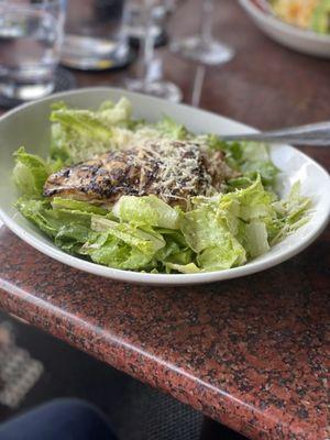 Chicken Caesar Salad