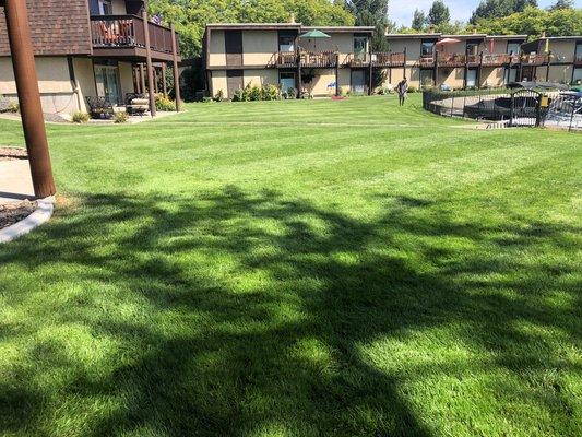 PNW Lawn Care