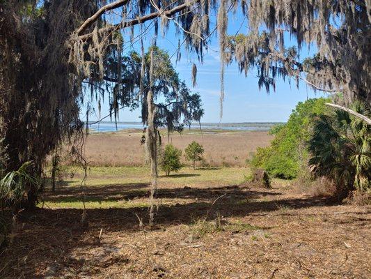 Alachua Overlook