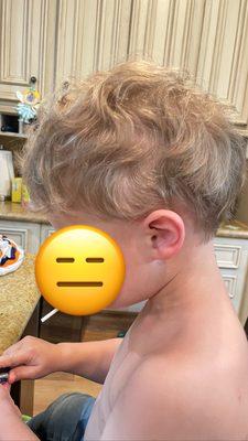 Took a chunk out of the side of his hair with clippers. Completely uneven and choppy in back.