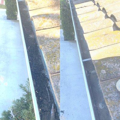 Gutter cleaning & Leaf removal