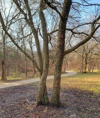 Walk with your coffee at Pecan Grove Park.