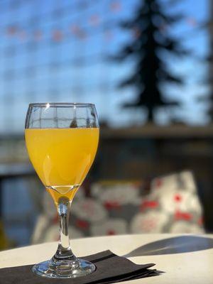 Mimosa