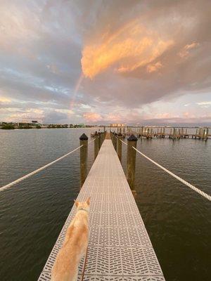 Seazen Rocky Point, Tampa, FL by @pirett17