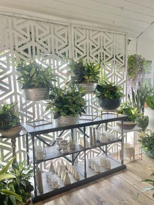 Store refresh! Interior plant display.