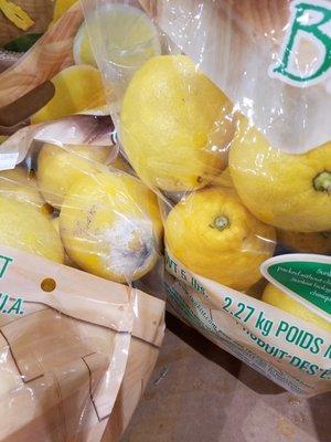 FRESH ORGANIC LEMONS.ANYONE ?