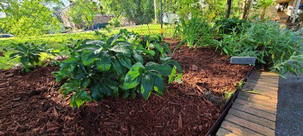 Mulch Garden Bed