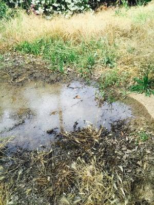 Constant flooding from leaking valves like this at their pumps are making our drought much, much worse.